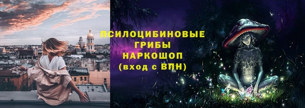 mdpv Белокуриха