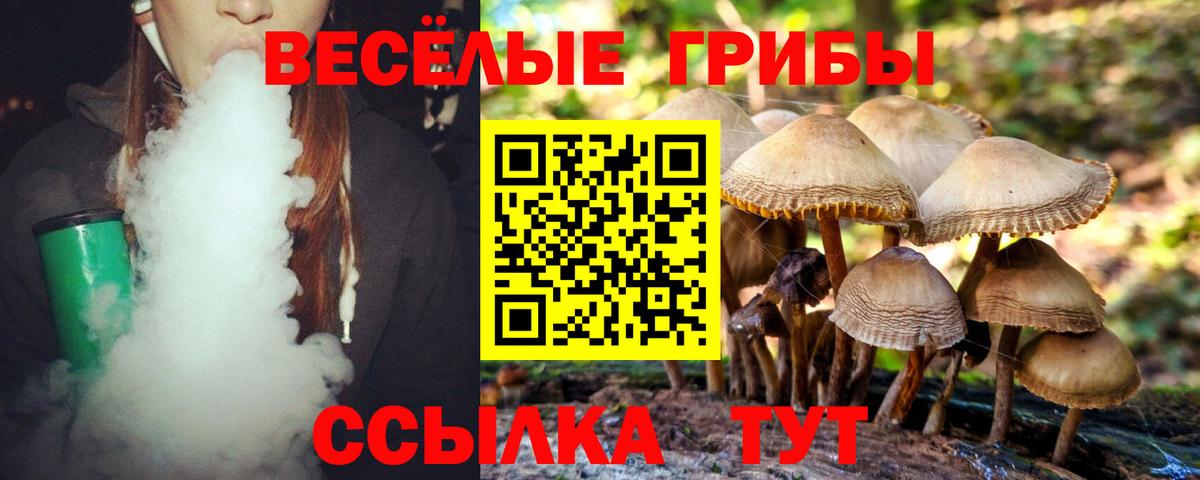 Бутурлиновка  Псилоцибиновые грибы мицелий  Вход с VPN 
